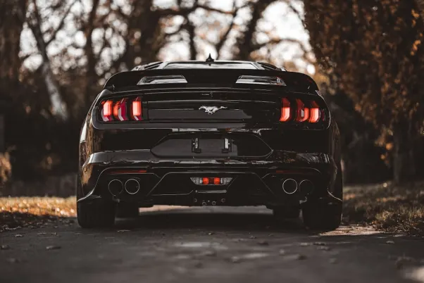 Winning Casino Application Android/iOS